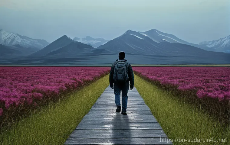 수단 도로교통 실태 - Here are three image generation prompts based on the provided text and guidelines: