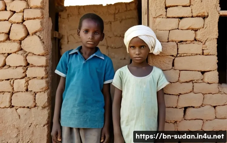 수단 공교육 실태 관련 이미지 1